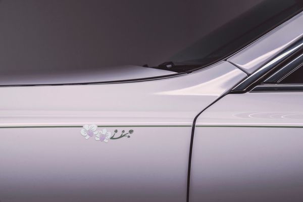 side orchid graphic and paint detail, 2022 rolls-royce phantom orchid